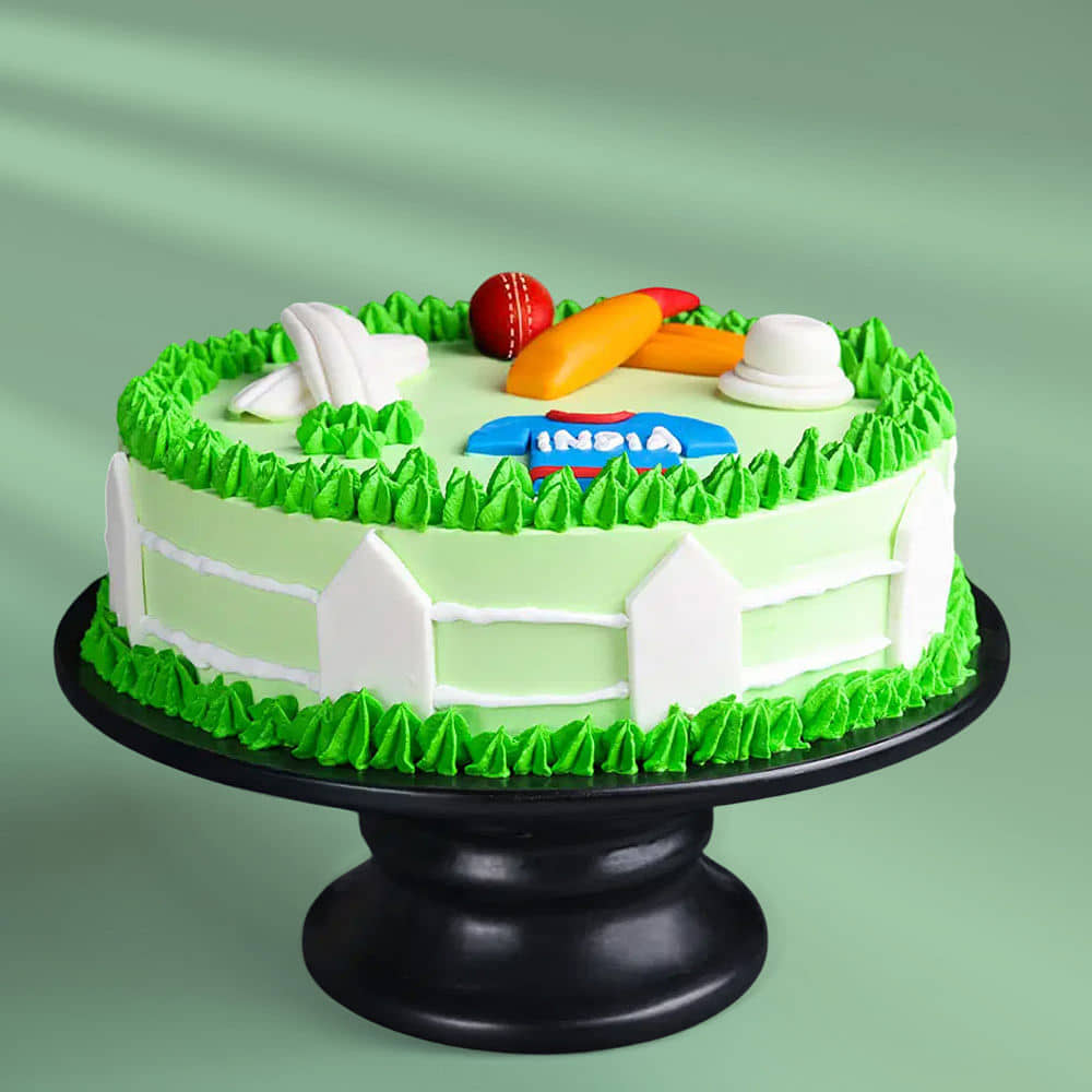 Cricket Wonder Theme Cake Side View of Cricket Field Cake