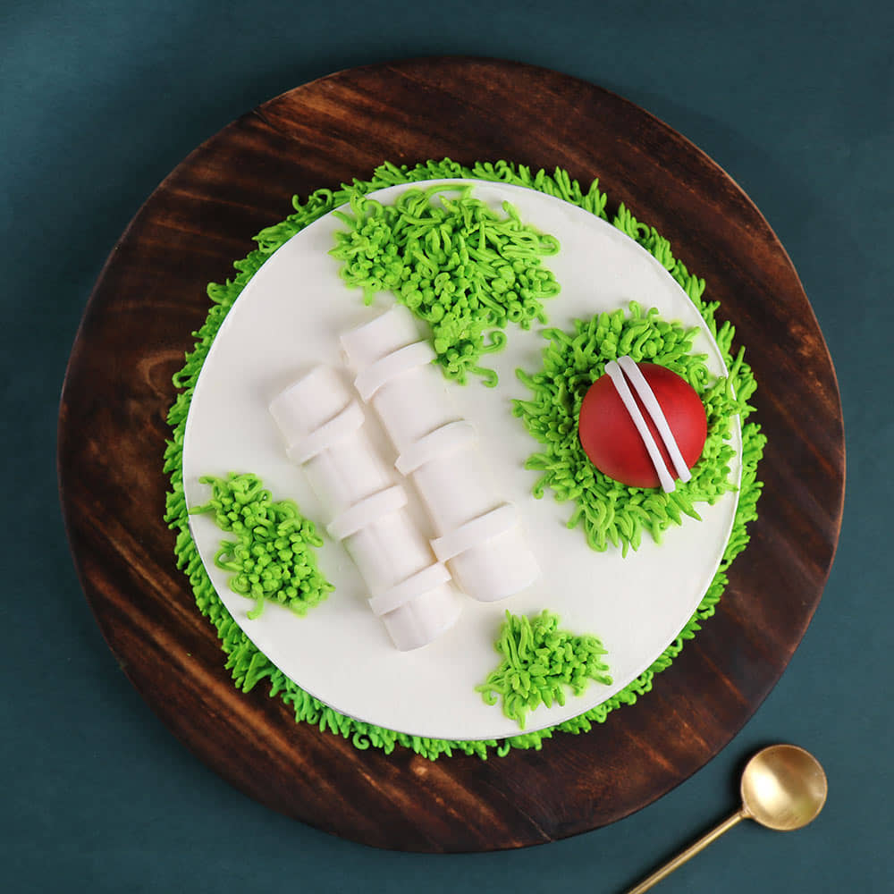 Cricket Enthusiast Birthday Cake Top View of Cricket Mania Cake