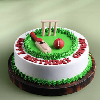 Cricket Pitch Theme Cake Cricket Fan Dream Cake