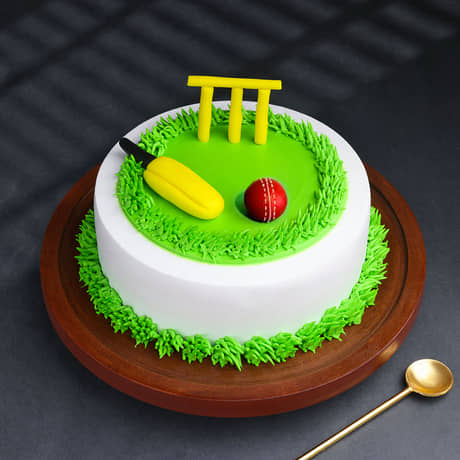 Cricket Theme Birthday Cake Cricket Kit N Pitch Cake