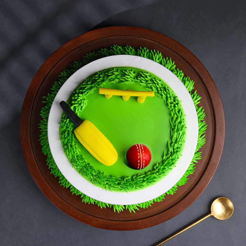 Cricket Theme Birthday Cake Top View of Cricket Kit N Pitch Cake