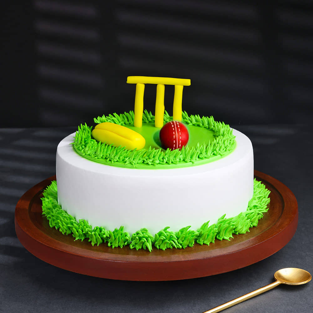 Cricket Theme Birthday Cake Side View of Cricket Kit N Pitch Cake