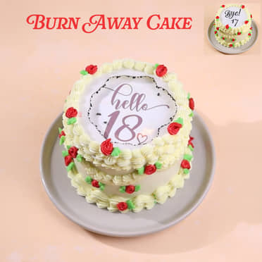 Goodbye Seventeen Fire Cake