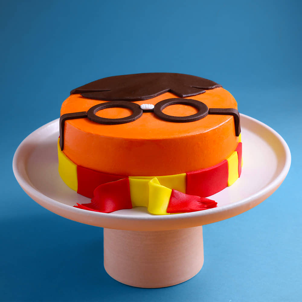 Harry Potter Fantasy Cake Front View of Harry Potter Fantasy Theme Cake