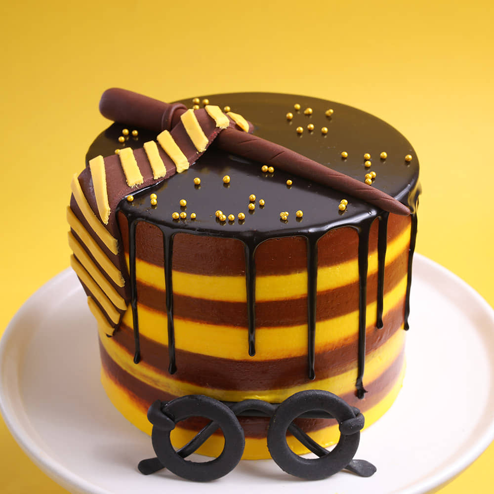 Harry Potter Gryffindor Theme Cake Harry Potter Drip Cake with Wand and Glasses