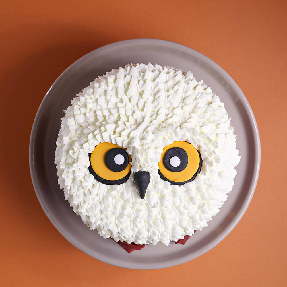 Hedwig Harry Potter Theme Cake Owl Theme Harry Potter Cake with Letter and Scarf