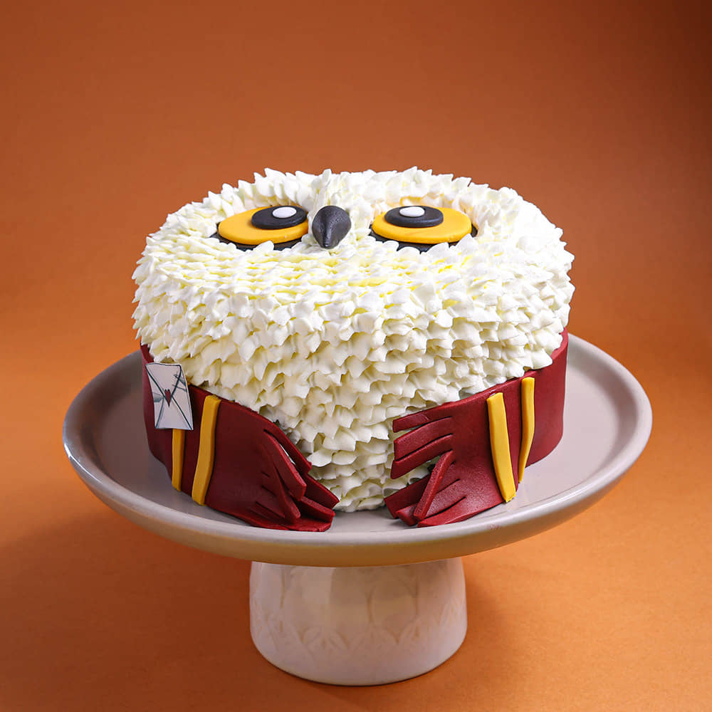 Hedwig Harry Potter Theme Cake Owl Theme Harry Potter Cake with Letter and Scarf