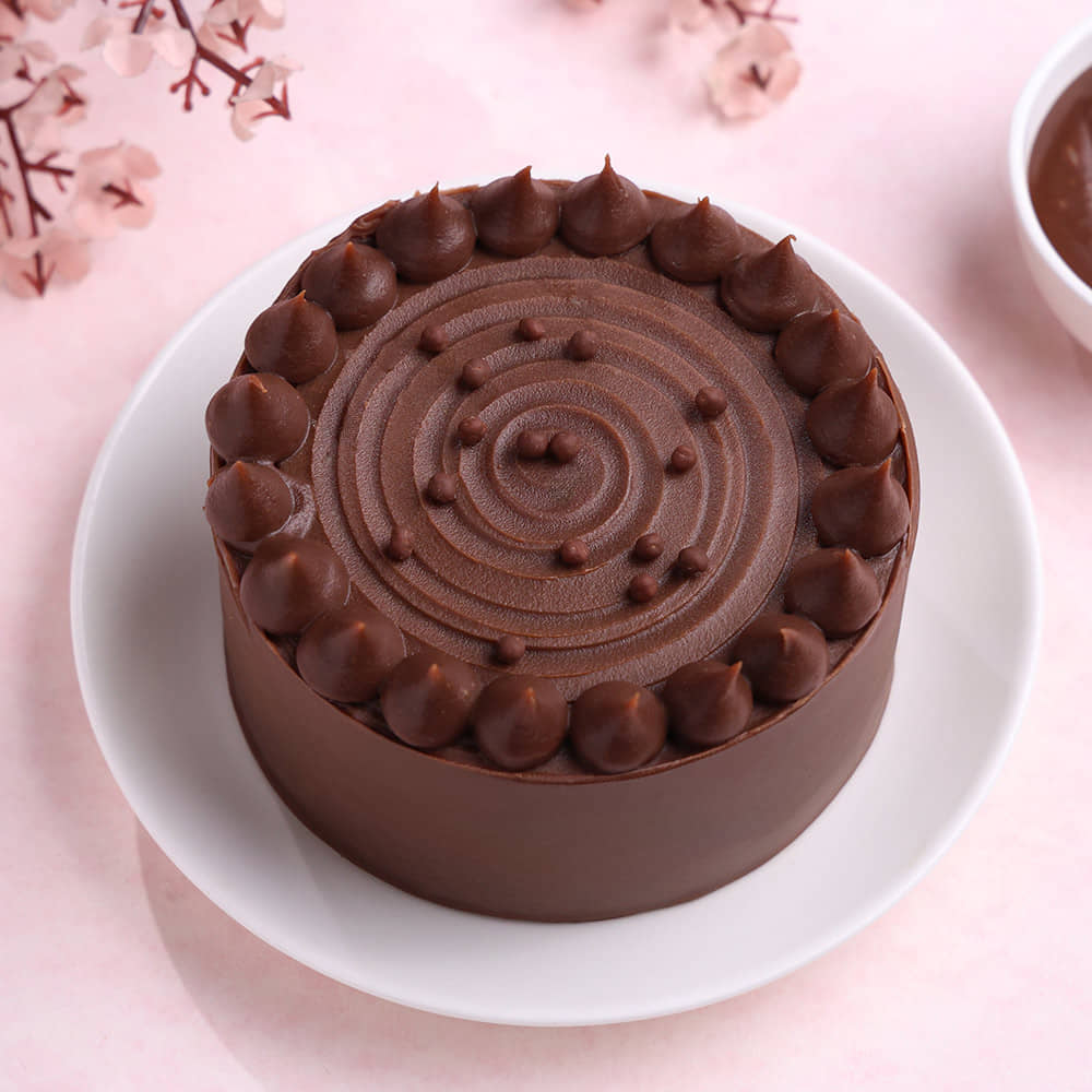 Milk Choco Bento Cake Front View of Milk Choco Bento Cake