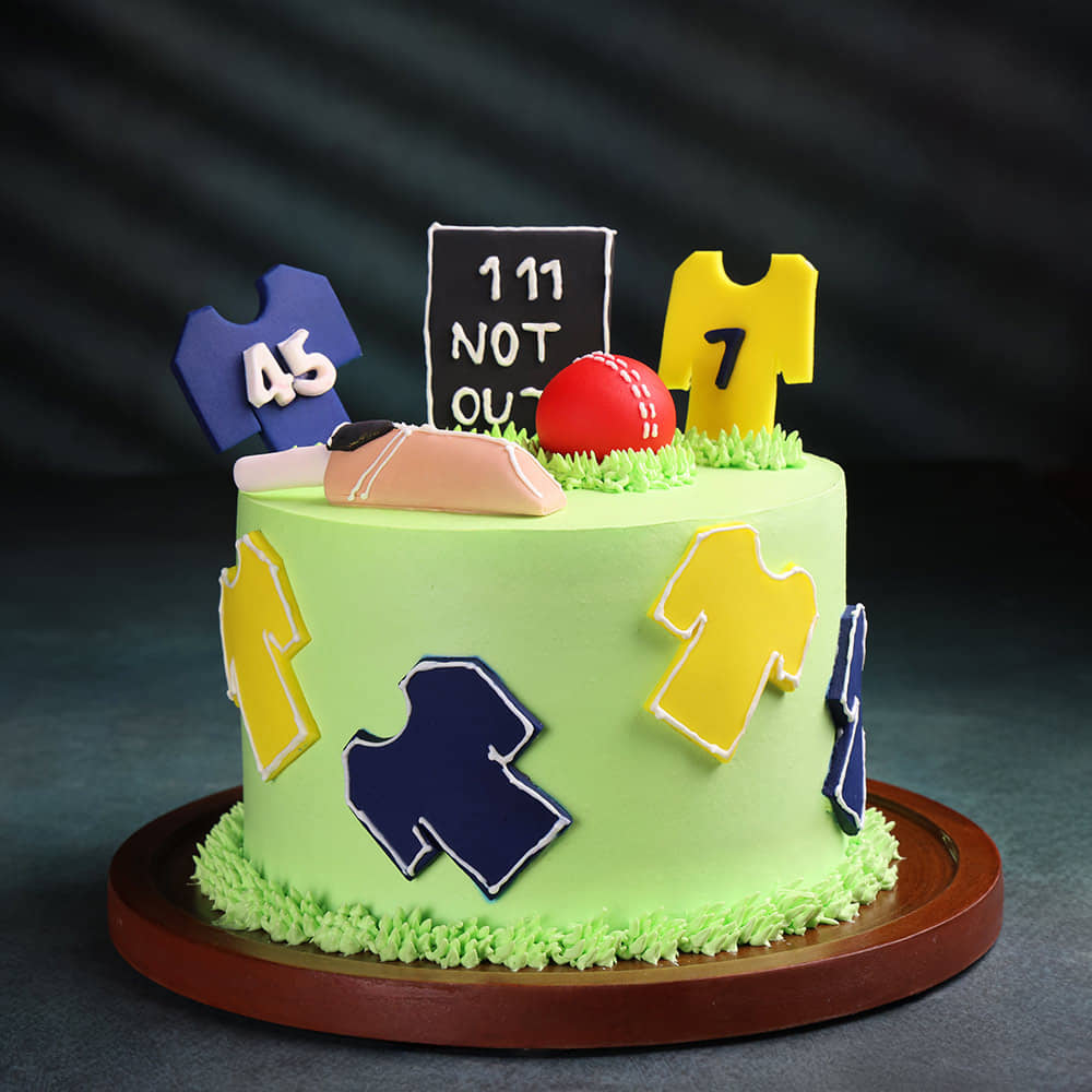 Cricket Fever Theme Cake Side View of Cricket Not Out Theme Cake